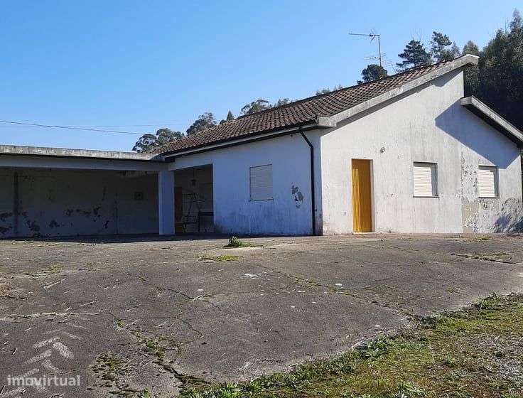 Vende Quinta 1 hect Meinedo Lousada-18