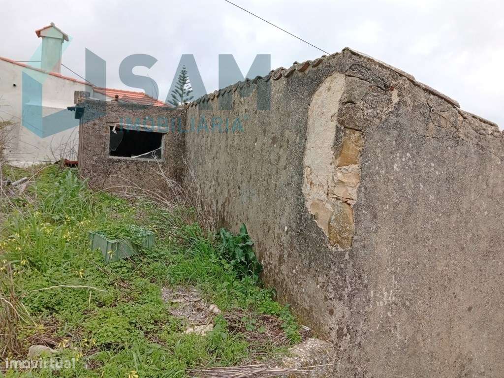 Casa antiga com quintal - Grande imagem: 5/13