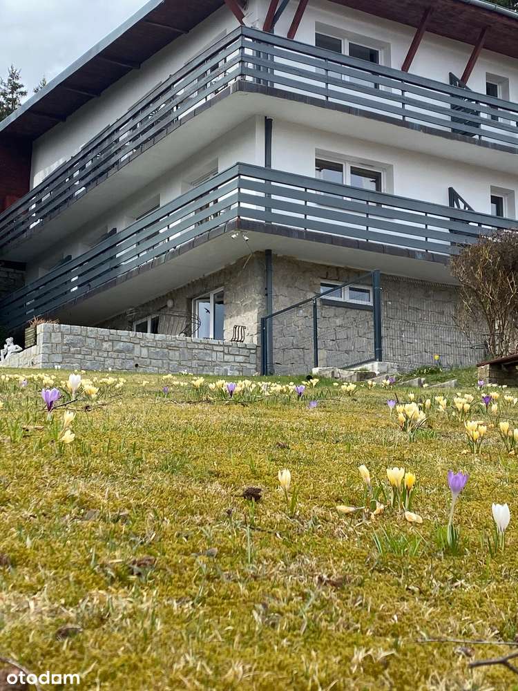 Pensjonat ze wspaniałym widokiem na panoramę Karkonoszy - Pełny obrazek: 4/10