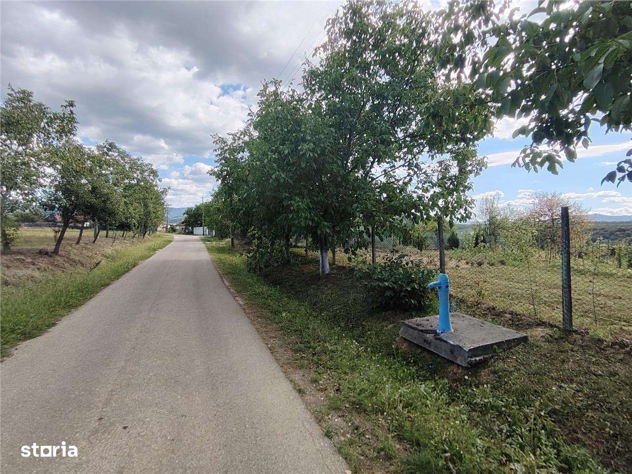 RECO teren intravilan in Saliste de Beius - Imagine principală: 4/4