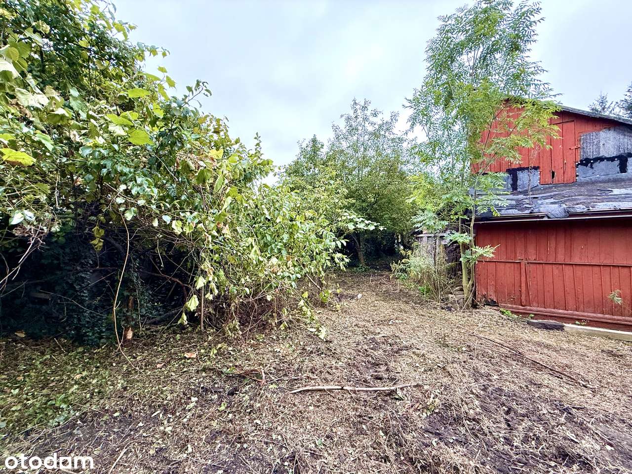 Działka przy ścisłym centrum Siedlec - Pełny obrazek: 5/16