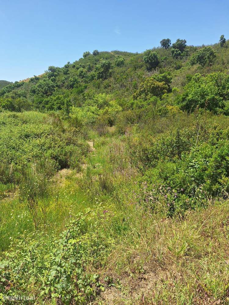 Terreno com 89.030 m² à venda em São Bartolomeu de Messines-16