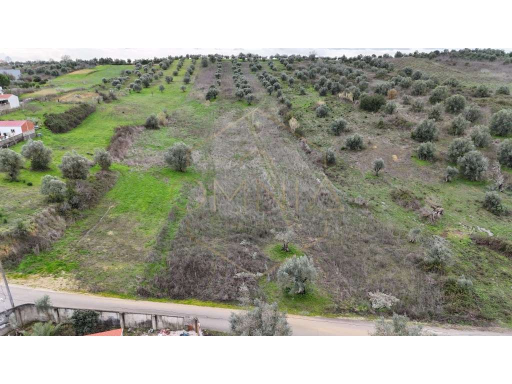 Terreno Rústico com Possibilidade de Construção - Achete - Grande imagem: 2/6