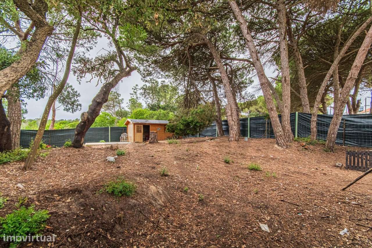 Terreno na Quinta da Rosa - Grande imagem: 5/15