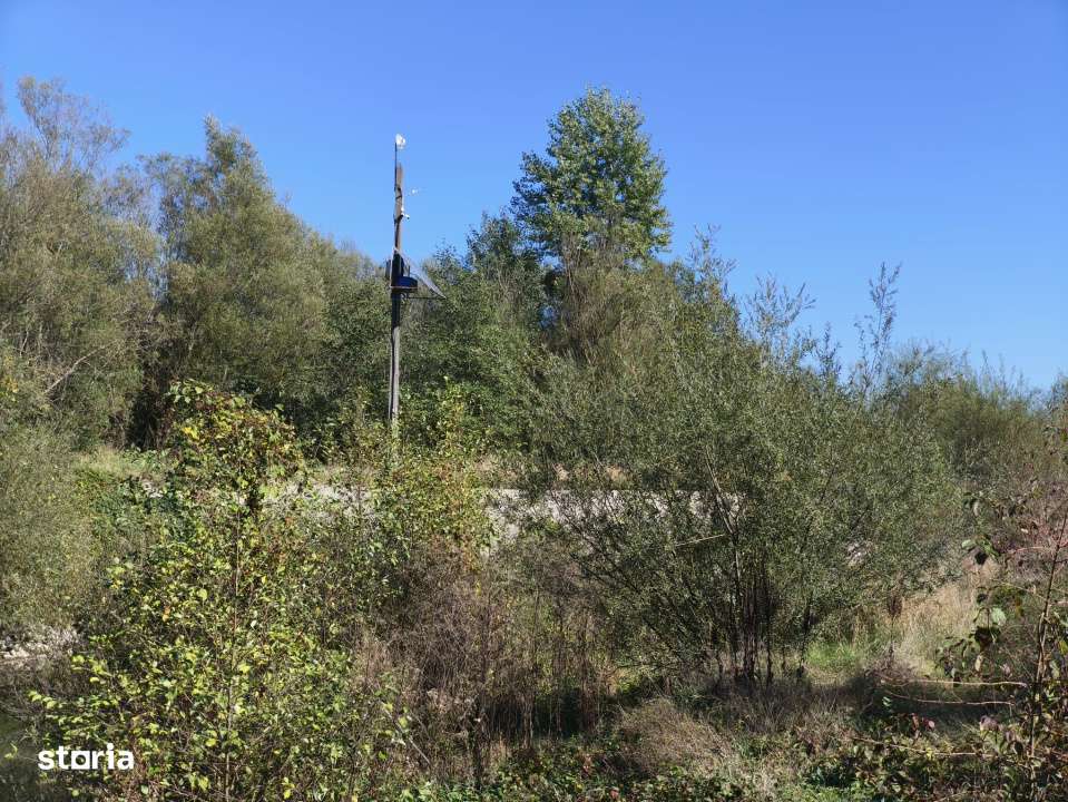 Teren imprejmuit cu iaz indiguit, 7200mp, Fratautii Vechi, Radauti - Imagine principală: 5/8