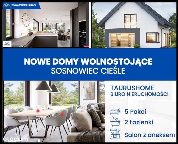 Nowe Domy Przy Lesie - Sosnowiec Cieśle.