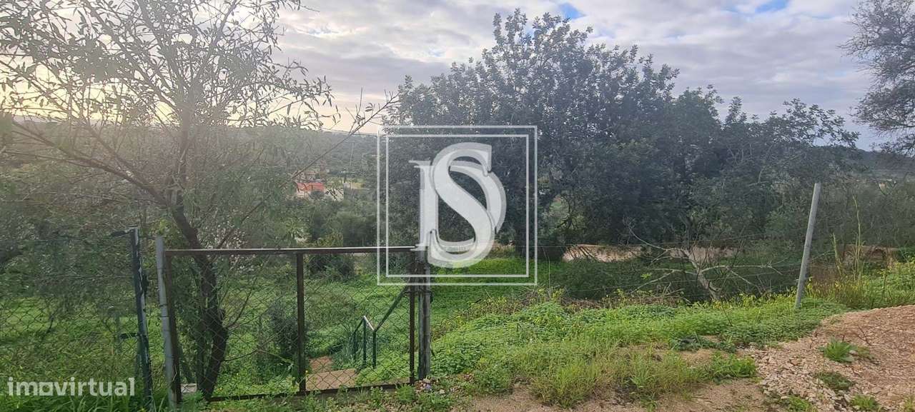 Terreno urbano em São Bartolomeu de Messines - Grande imagem: 2/11