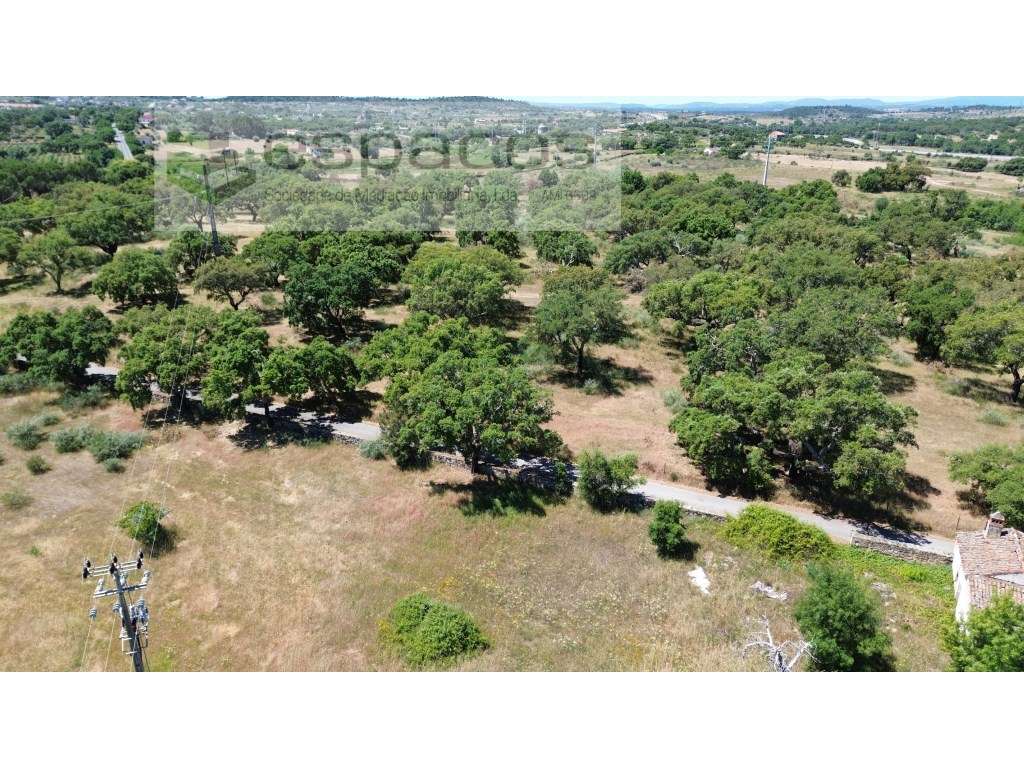 Quinta em Castelo Branco - Vista 5