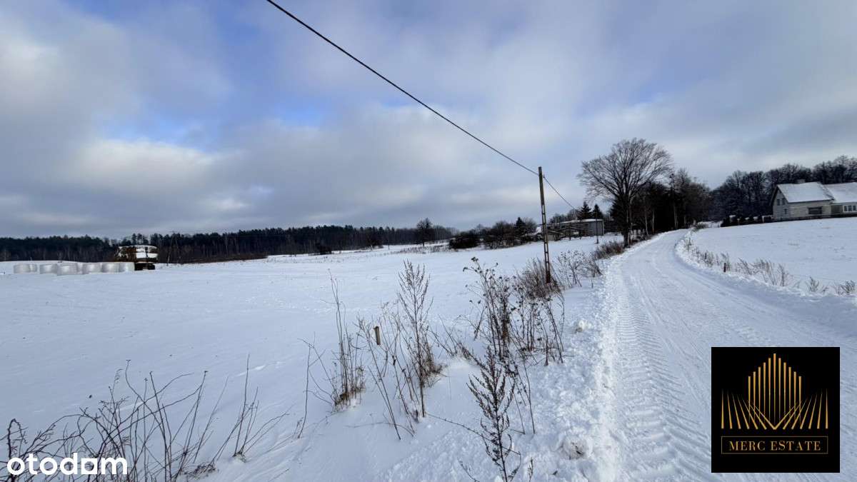 Działka z WZ w Borkach wielkich-5