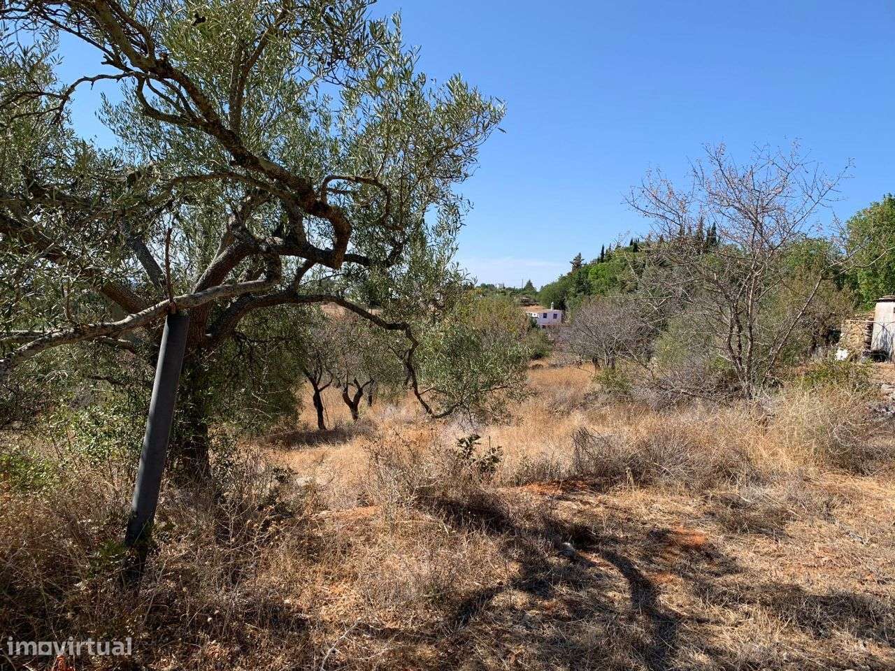 Terreno Urbano, com 3 artigos, Colmeal-20