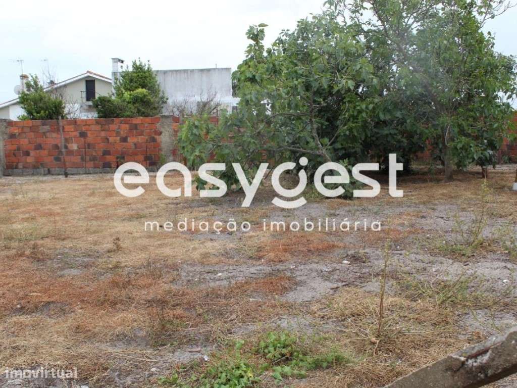 Terreno rústico em Vieira de Leiria com viabilidade de construção - Grande imagem: 2/4
