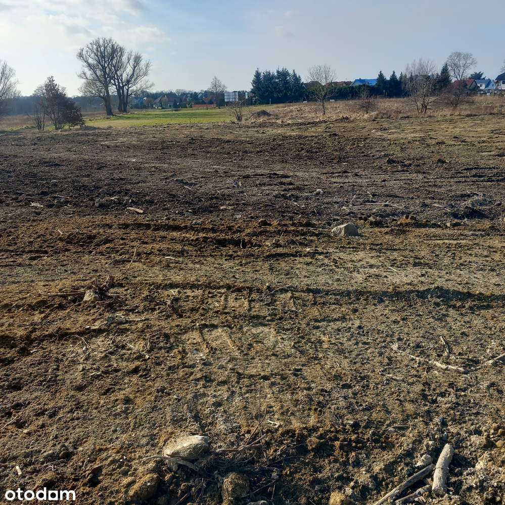 Zespół budowlanych działek z drogą wewn., woda i prąd obok, 7km morze - Pełny obrazek: 4/11