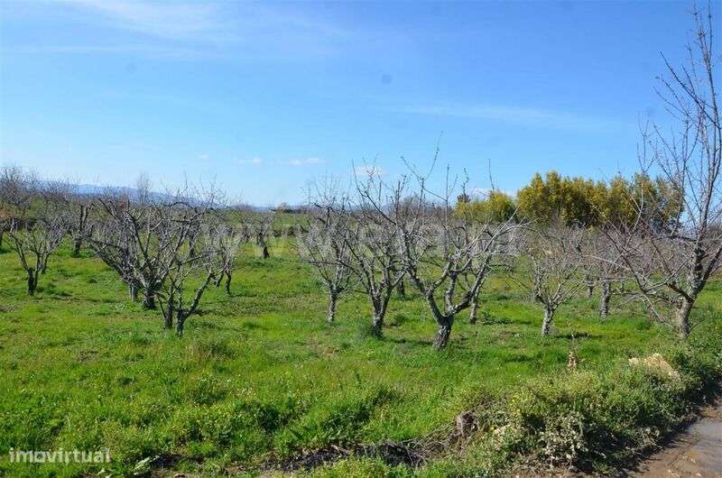 Quinta / Fundão, Aldeia de Joanes - Grande imagem: 4/20