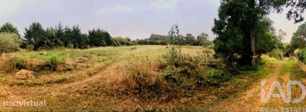 Terreno em Colares de 11640,00 m2 - Grande imagem: 4/7