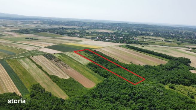 Teren de vanzare - 15.740 mp | Priveliste superba-4