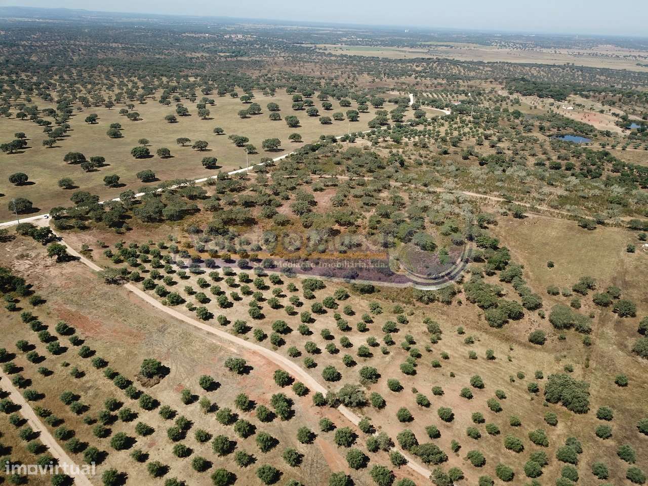 Terreno em Pavia, Mora (MOR058) - Grande imagem: 3/9