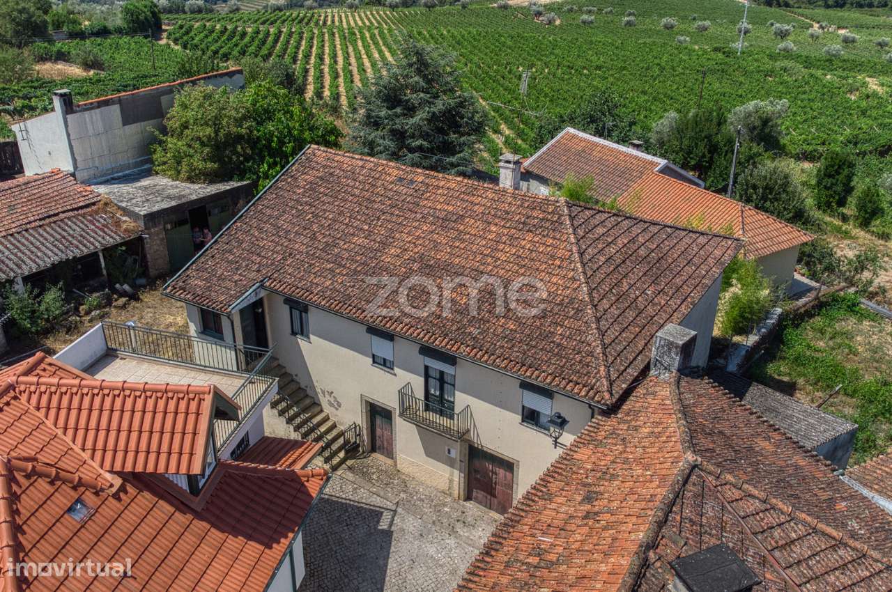 Moradia c/9 divisões, vinha e armazém em Lugar de São Gonçalo, Fava... - Grande imagem: 3/49