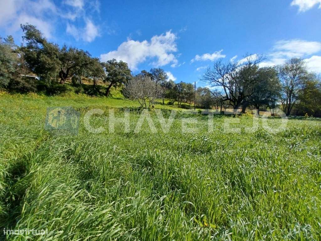 Terreno rústico com 2 poços e tanque perto do Aqueduto dos Pegões. - Grande imagem: 2/7