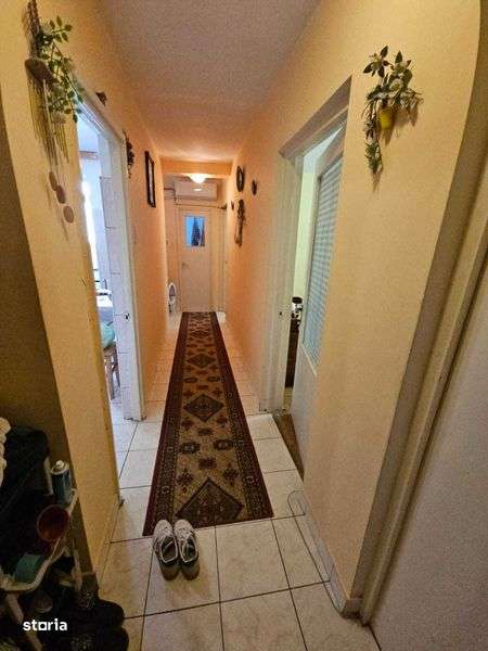 Alexandria- centru 3 camere - Imagine principală: 5/8