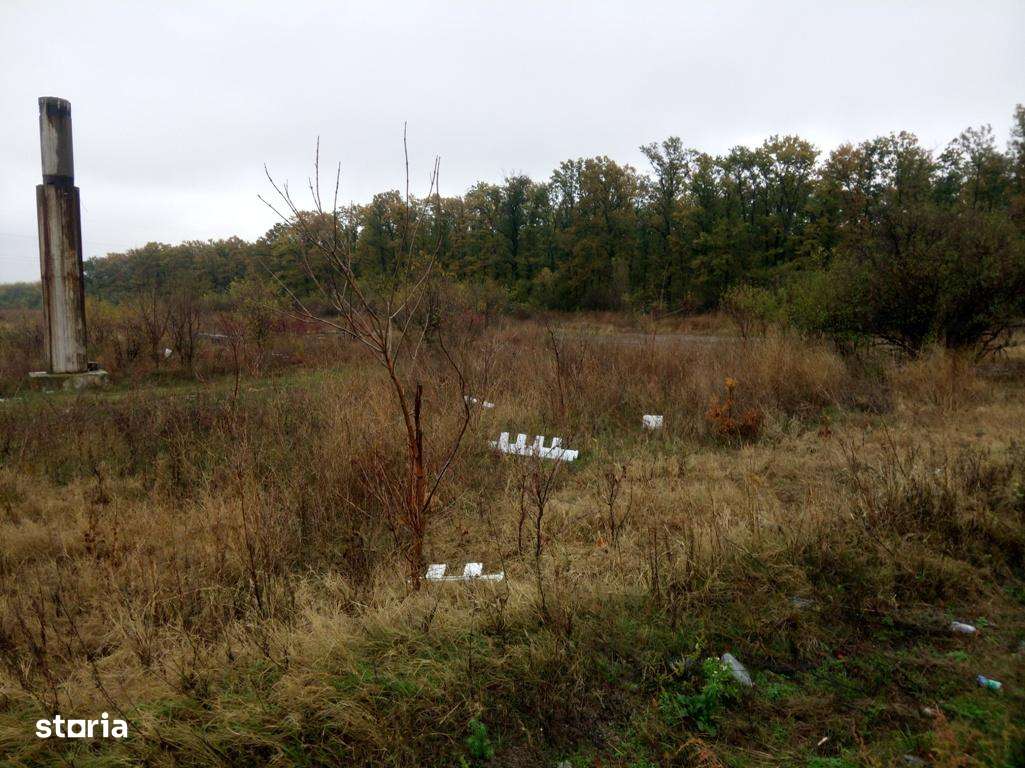 Vand Teren pt. PARC FOTOVOLTAIC, BENZINARIE, HALE - DN5 Buc.-Gr. Km.45-15