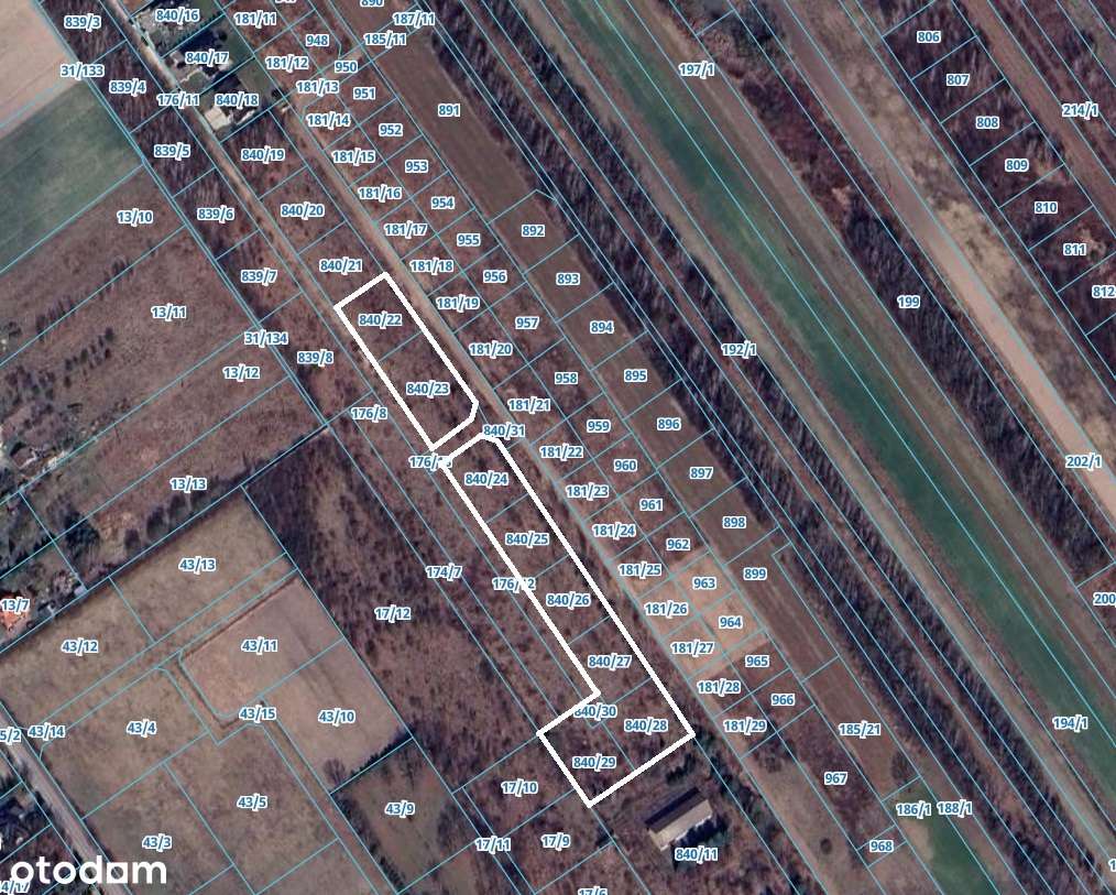 Grunt niezabudowany o łącznej pow. 8979 m kw. - Gołków, gm. Piaseczno-1