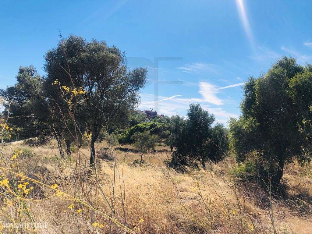 Terreno urbano com vista de mar em Bicesse - Grande imagem: 5/7