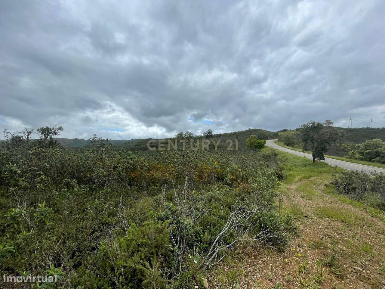 Terreno Rústico - São Barnabé - Grande imagem: 4/11