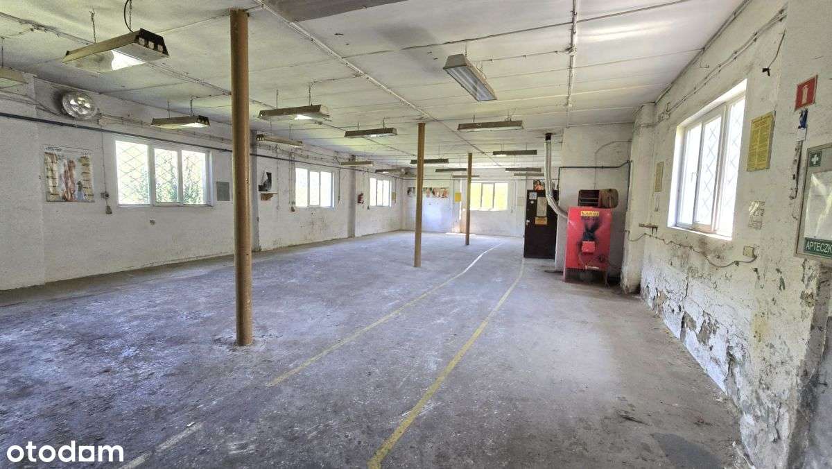 Na sprzedaż hale i budynki magazynowe - Pełny obrazek: 5/14