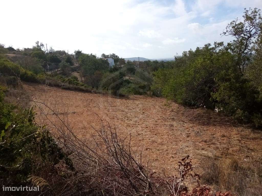 Lote de terreno rústico com 4500m2, Loulé, Algarve - Grande imagem: 5/13