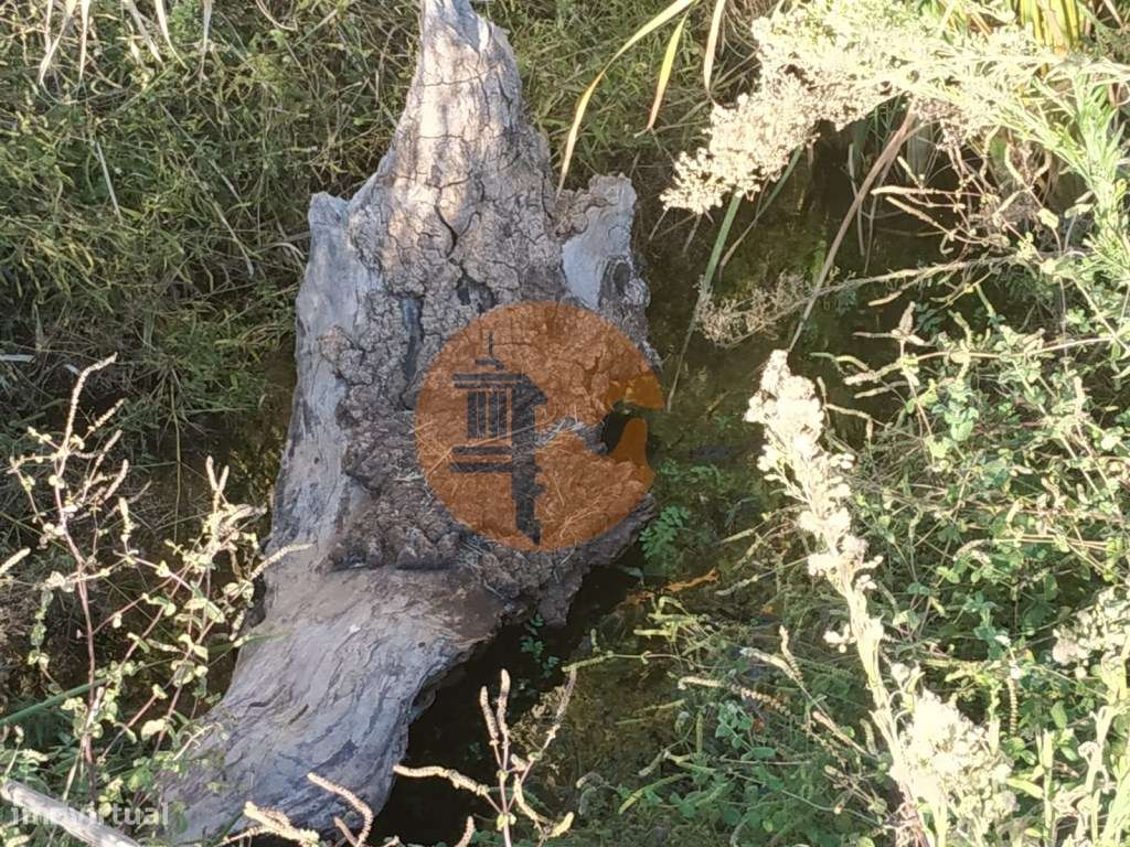 TERRENO COM RUINA - 4.960 M2 - COM NORA - ÁGUA DA BARRAGEM NA JUNQU...-25