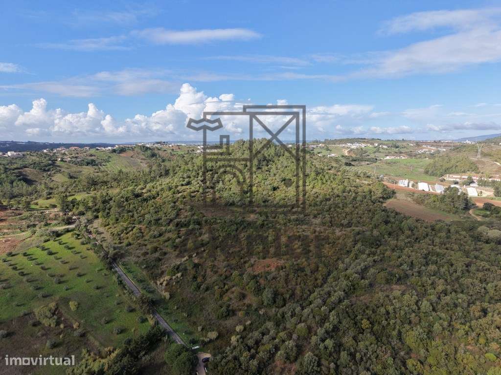 Oportunidade Única de Investimento Agrícola em Alenquer - Grande imagem: 2/27