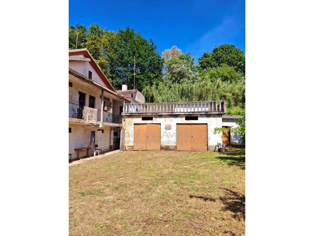 Quinta com 5.000 m2 e casa habitação T5 em Águeda-44