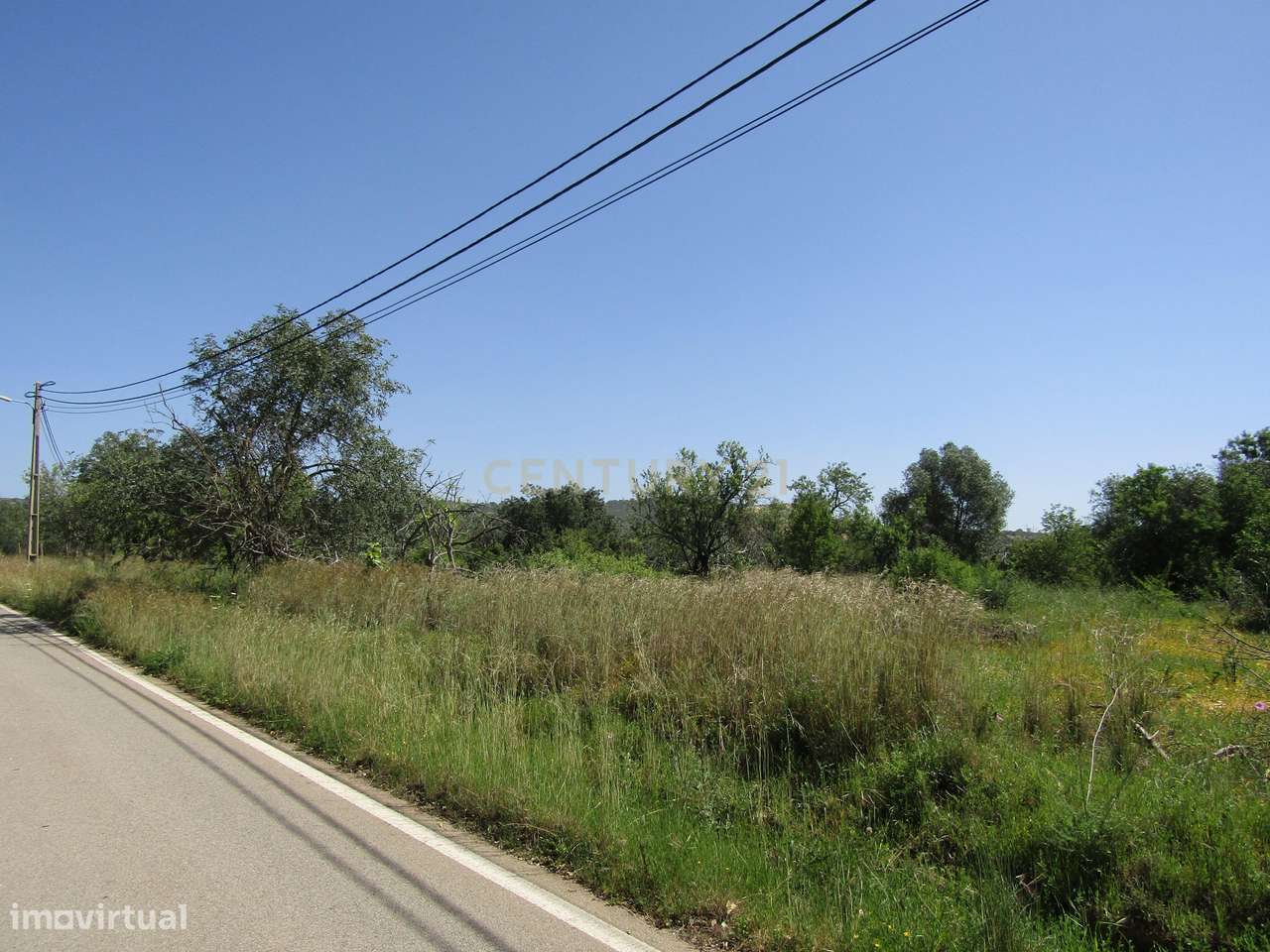 Terreno Rústico em Boliqueime - Grande imagem: 4/6
