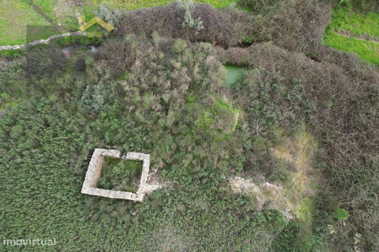 Quinta  Venda em Freixial e Juncal do Campo,Castelo Branco - Grande imagem: 5/8