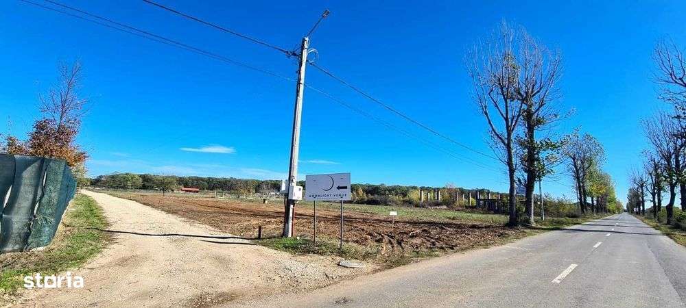 Teren intravilan de vanzare in Izvorani | Loturi de 500 mp si 1500 mp-3