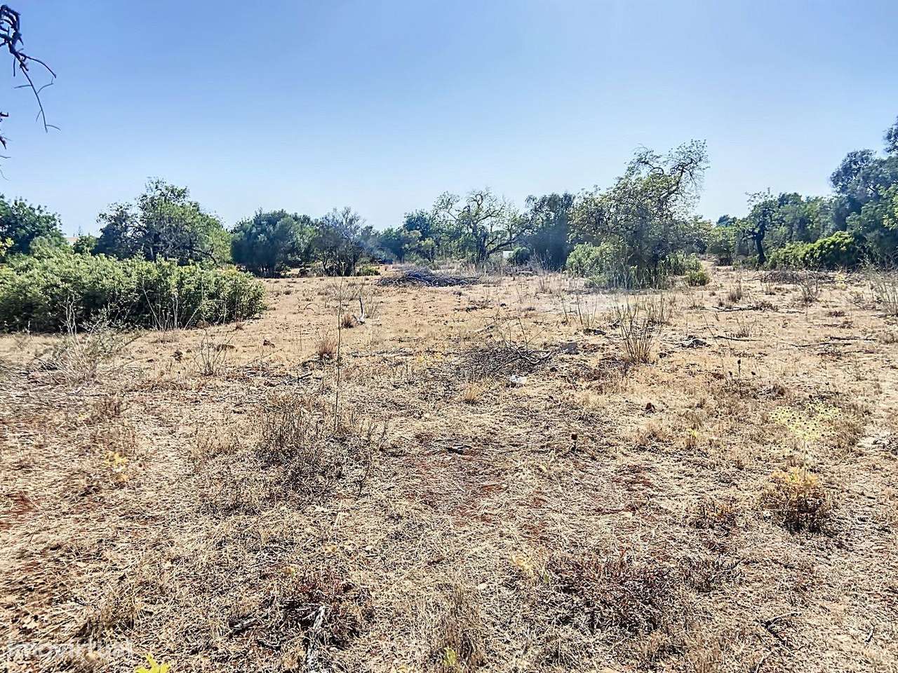 Terreno Rústico 12.000m2 - Falfosa, Santa Bárbara de Nexe - Grande imagem: 4/9