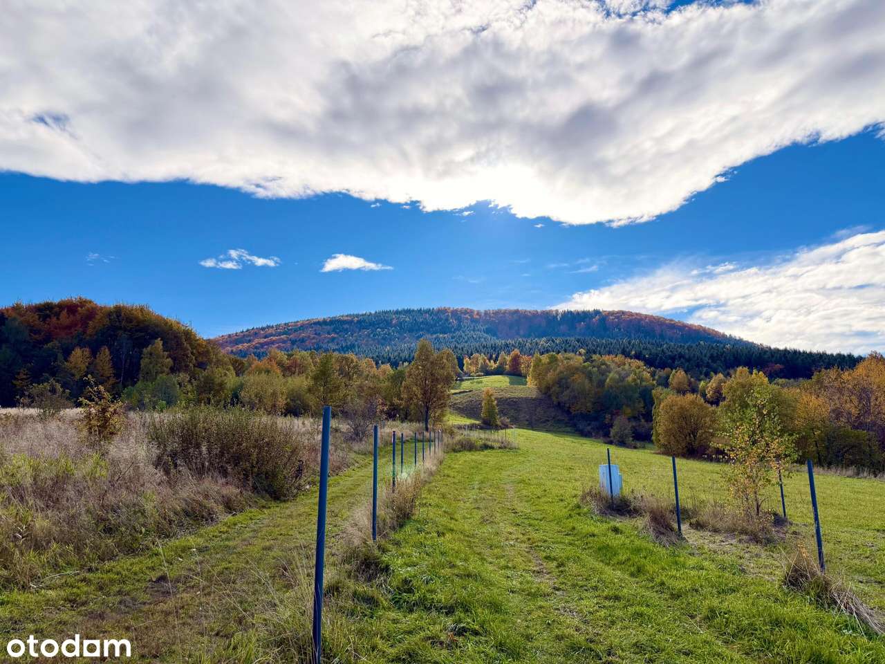 Wyjątkowa oferta  działek budowlanych  / całość resort, agroturystyka - Pełny obrazek: 5/13