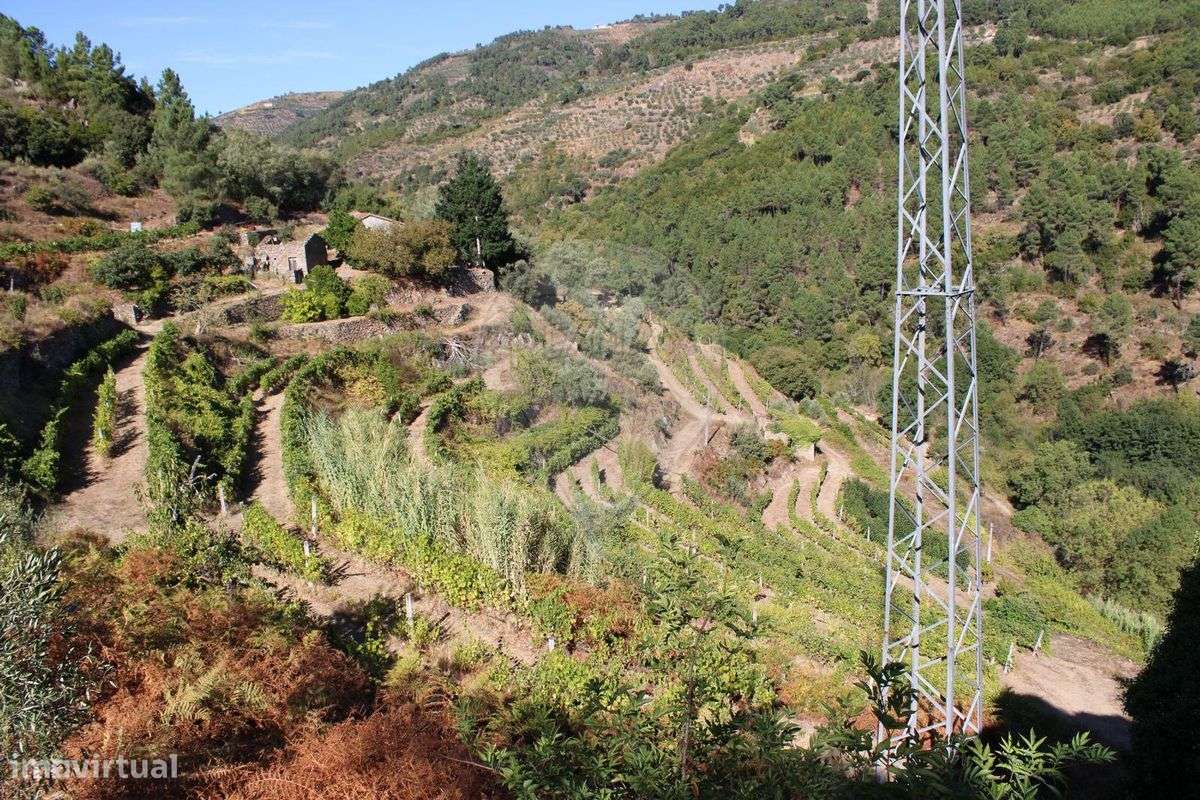 Quinta  para venda - Grande imagem: 4/19