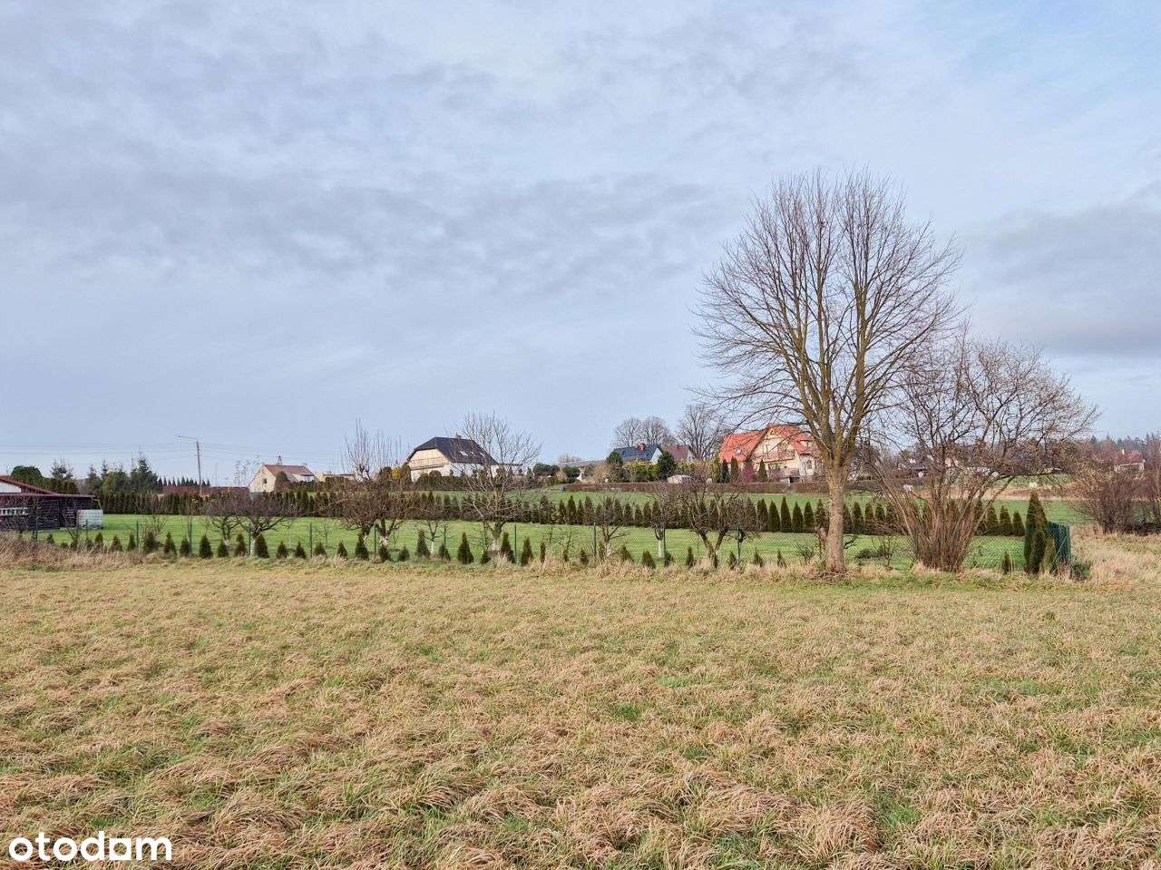 Działka, 1 336 m², Rybno-16