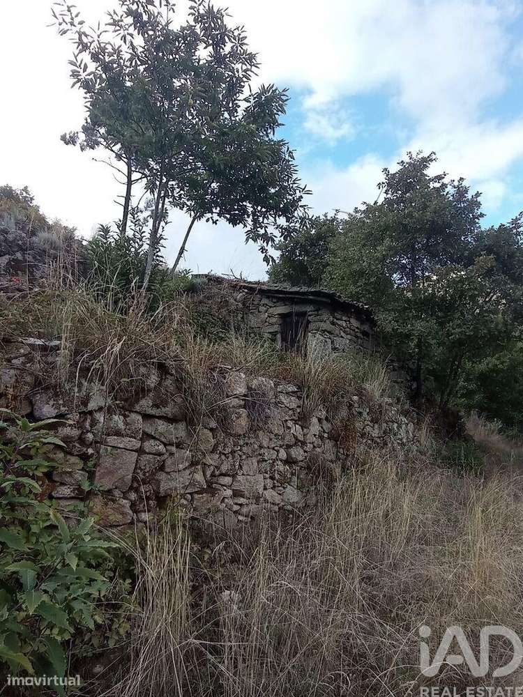 Terreno Agrícola em Sendim-7