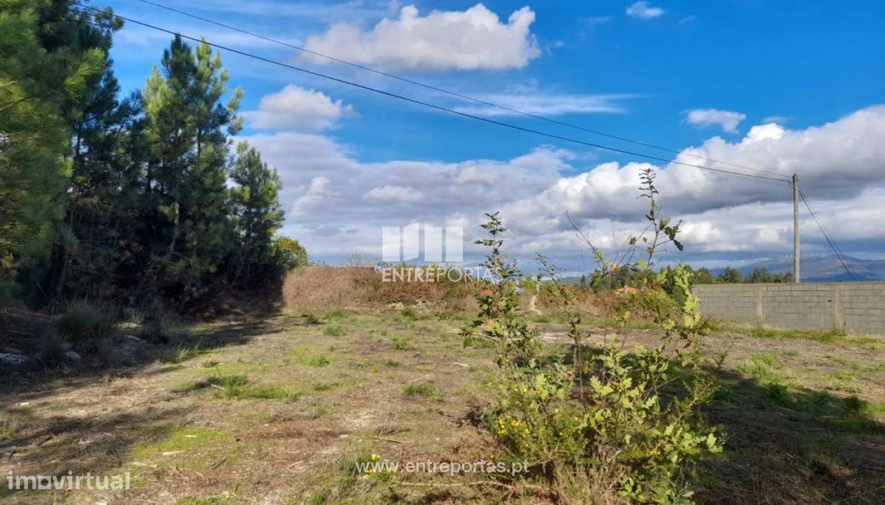 Venda Terreno, Salvador do Monte, Amarante - Grande imagem: 4/28