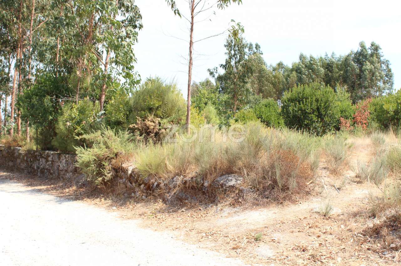 Terreno Rústico em Paranhos da Beira, Seia - Grande imagem: 5/10