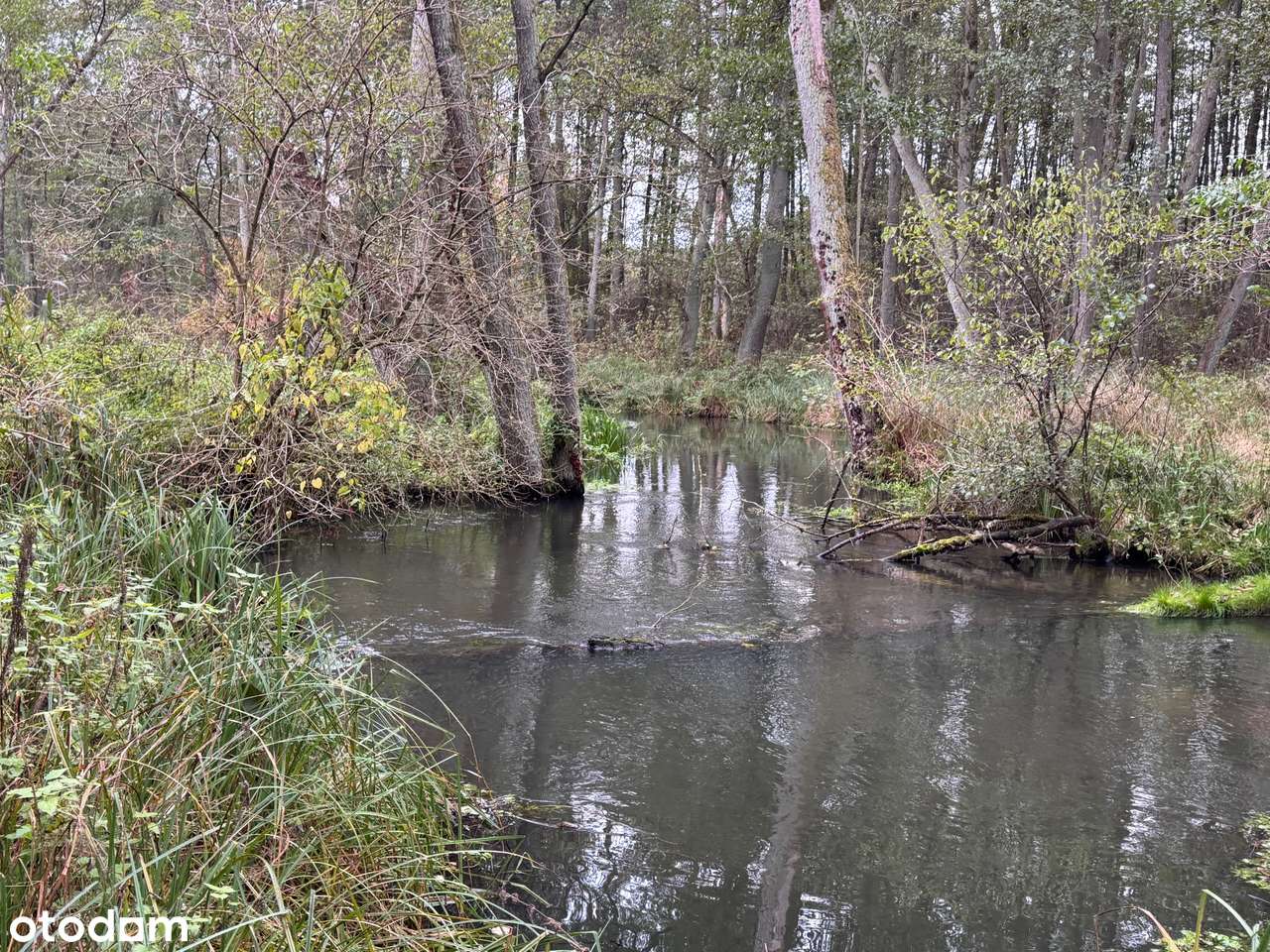 Duża działka nad rzeką Ilanka-3