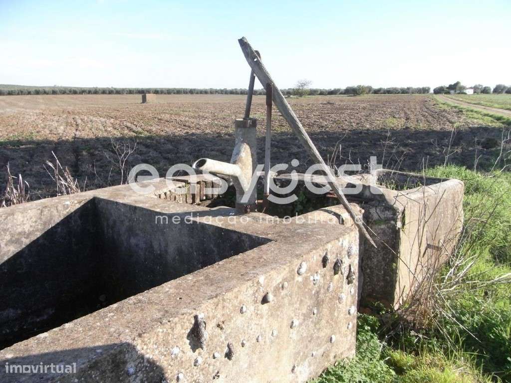 Monte com 10ha em Gasparões- Ferreira do Alentejo - Grande imagem: 5/7
