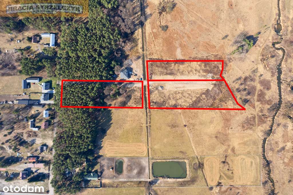 Działka z lasem pod Warszawą - Pełny obrazek: 2/15