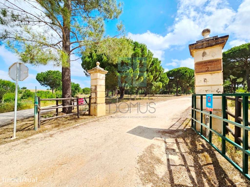 Lote de Terreno de 33.300m2, com lagoa, na Mata do Duque 1, Santo E...-7