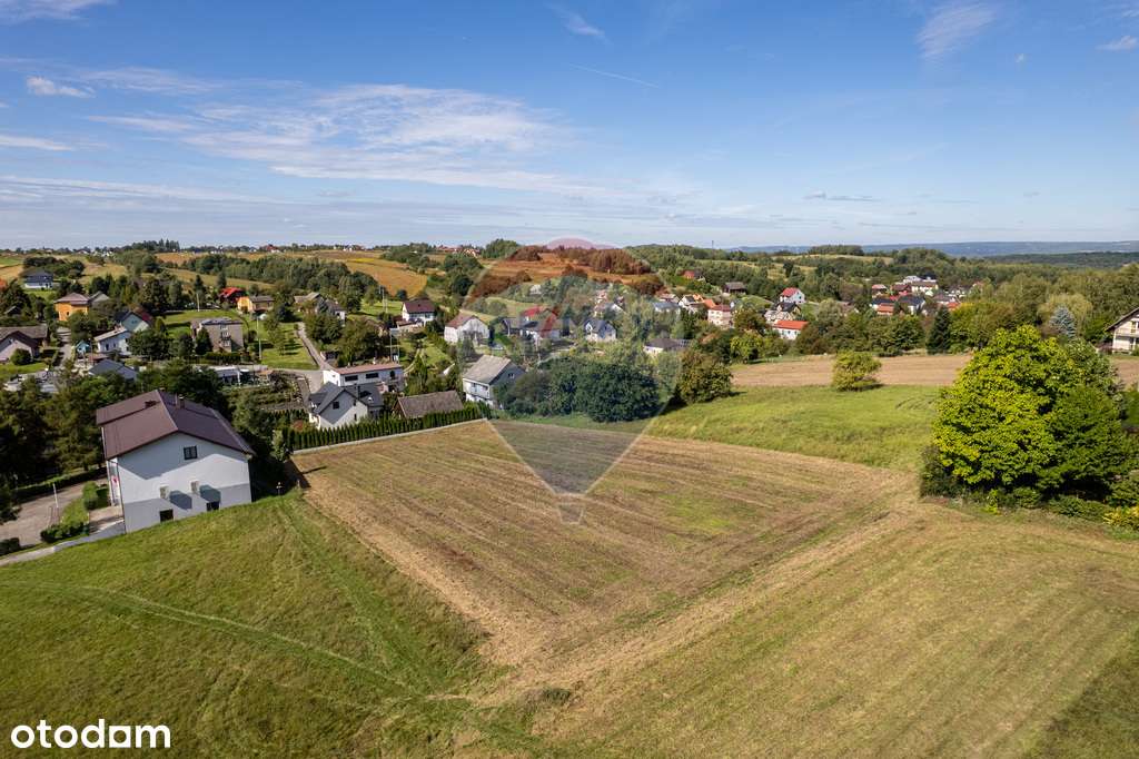 Działka budowlana - Sprzedaż - Sanka (16,58 ar)-3