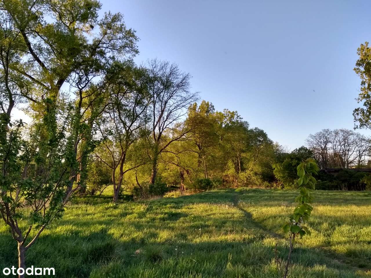 Działka budowlana w Koninku pod Poznaniem-0