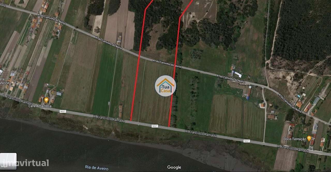 QUINTAS DO NORTE – MURTOSA - Grande imagem: 4/13