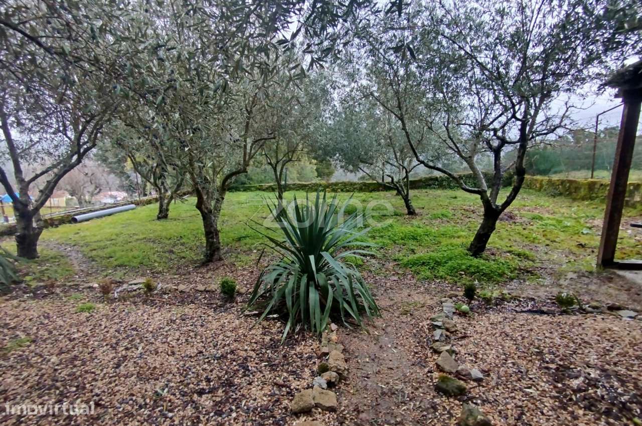 Moradia com Alma, Sol e Natureza — Um Refúgio Perfeito para Viver-41